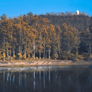 Forest Nature - A peaceful forest scene with autumn colors refle #11210646
