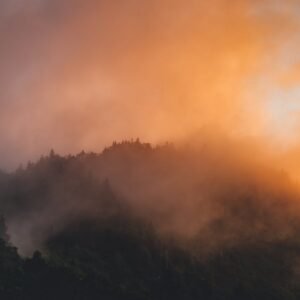 Forest Nature - Breathtaking view of fog and mist enveloping a m #13258083