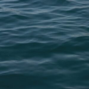 Beach Scenery - Calm and serene ocean waves at Alghero, Sardinia #13319488