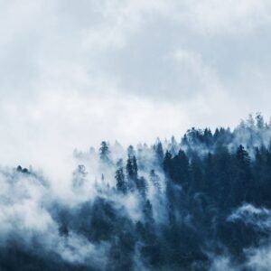 Mountain Landscapes - A serene view of a mist-covered forest on a moun #167699