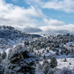 Forest Nature - A scenic winter panorama of snow-covered hills a #22809273