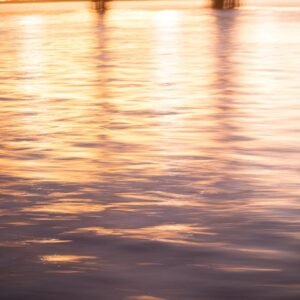 Lake Reflections - Golden sunset light reflecting on tranquil water #27935406