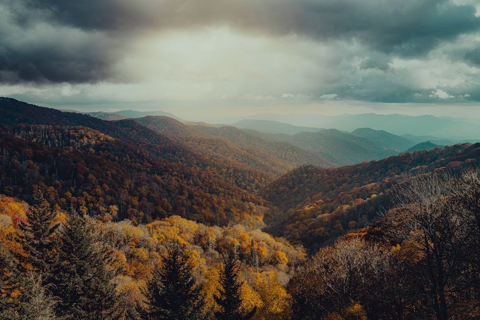 forest nature explore the serene beauty of mountain ranges cov #29146345 Forest Nature - Explore the serene beauty of mountain ranges cov #29146345