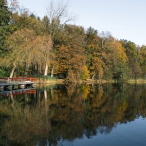 Lake Reflections - Peaceful autumn forest view by a reflective lake #29305261