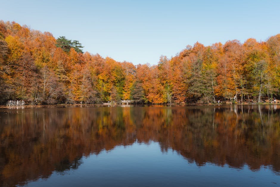 lake reflections beautiful autumn scenery at yedigöller national #29575461 Lake Reflections - Beautiful autumn scenery at Yedigöller National #29575461