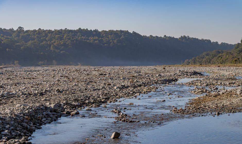 forest nature a tranquil riverbed runs through a rocky terrain #29666824 Forest Nature - A tranquil riverbed runs through a rocky terrain #29666824