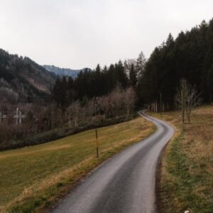 Forest Nature - Peaceful rural road winding through forested hil #29828237