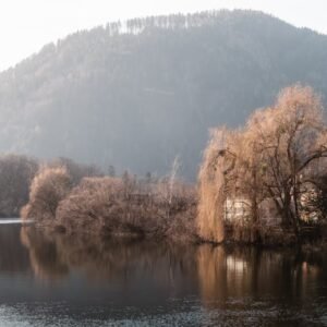 Lake Reflections - Peaceful mountain lake with trees reflecting in  #30104442