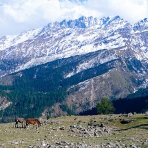 Snow Mountains - A stunning view of the snow-covered Himalayas wi #31580153
