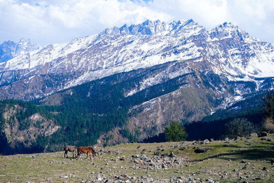 snow mountains a stunning view of the snow covered himalayas wi #31580153 Snow Mountains - A stunning view of the snow-covered Himalayas wi #31580153