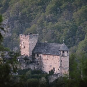 Forest Nature - A medieval stone castle stands amidst lush fores #32088679
