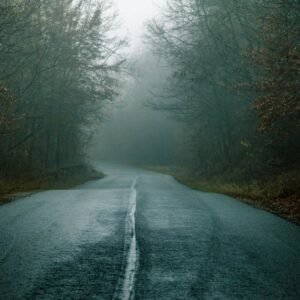 Forest Nature - A mysterious foggy road winding through a dark, #34889618