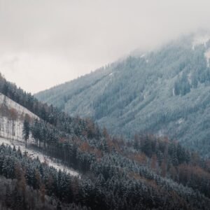 Forest Nature - Scenic view of snowy alpine mountains with frost #35140927