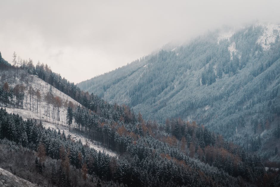 forest nature scenic view of snowy alpine mountains with frost #35140927 Forest Nature - Scenic view of snowy alpine mountains with frost #35140927