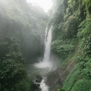 Desert Wilderness - Wonderful Aling Aling Waterfall among lush green #4534200
