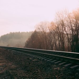 Forest Nature - Foggy railway track through a misty autumn fores #673803