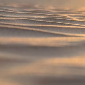 Desert Wilderness - A close-up of sunlit sand dunes showing textured #6789297