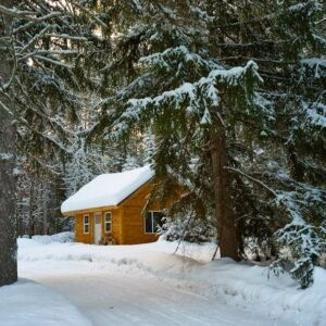 Forest Nature - Charming winter cabin nestled among snowy evergr #754268