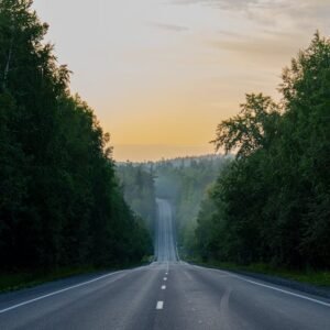 Forest Nature - Peaceful road through lush forest at sunrise nea #8858008